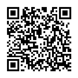 不费吹灰之力就能读取到乔北剑分身里的神魂信息二维码生成