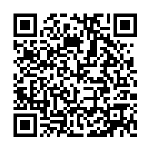 不趁着还在苍茫大陆上多多购买一些这样的草药二维码生成