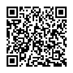 不足半个小时的时间就会和保镖一起回到许家内二维码生成