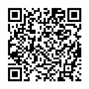 不过……举牌子的人似乎已经不是我认识的那个人了二维码生成