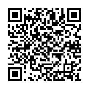 不过……你手上不是正好有一个可以询问的人选二维码生成