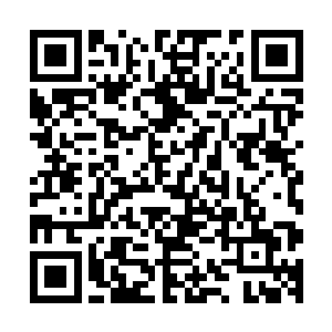 不过……原本朱司令这边的那两个小姑娘也是要去参加集训的二维码生成
