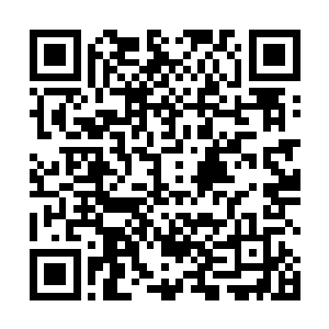 不过……好像昨天猪哥在食堂里面也被林烽暴打了一顿二维码生成