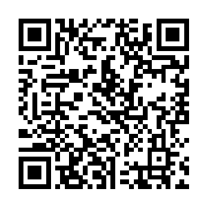 不过……如果你还想再见见你的里奇大叔最后一面的话二维码生成