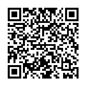 不过……就是成天板着脸……没有卿卿你这么活泼……二维码生成