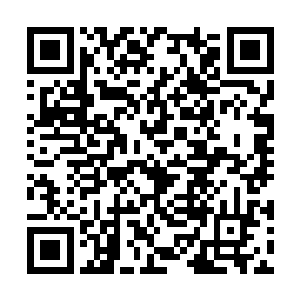 不过……张大叔是怎么知道自己跟通天大帝的约定二维码生成