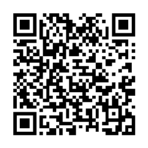不过……忍者功夫的修练就是要忍受各种屈辱的吗二维码生成