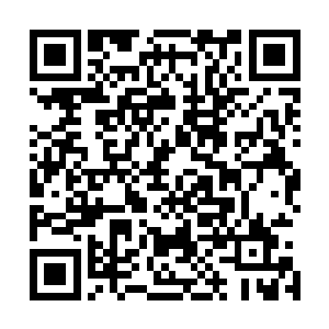 不过……我隐约记得八百年前是有一个人族的家伙来到这里二维码生成