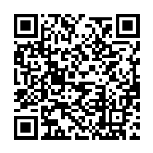 不过……或许倒是可以利用他来看看那贱人的反应二维码生成