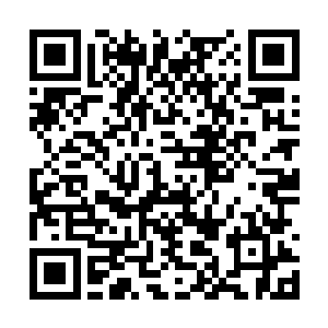 不过……此时此刻的他看起来安静得有些恐怖……二维码生成