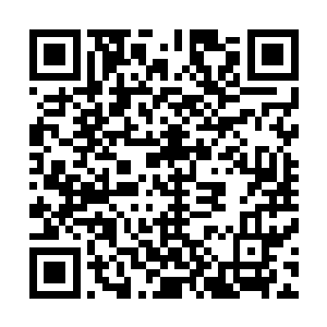 不过……现在这两个小姑娘只怕一时半会儿的是没法康复了二维码生成