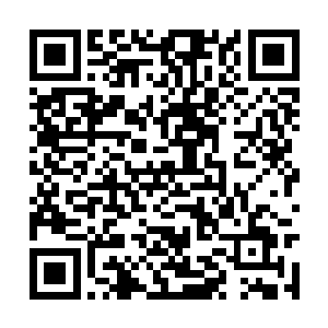 不过……看到那家伙的胳膊上已经流出了不少血液二维码生成