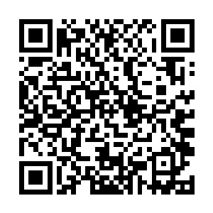 不过…阿璃或许不知道其实许多大家族各自隐藏势力二维码生成