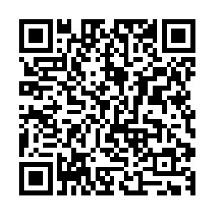 不过一个小小的魔尊根本就不足以改变炼狱魔宗被灭亡的事实二维码生成