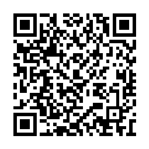 不过一元宗和阳极宗的圣皇强者不敢对碧海出手二维码生成