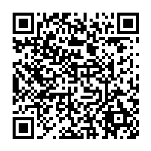 不过一只巨大的血手在这血煞组织首领即将达到血池对面入口的那一刻二维码生成