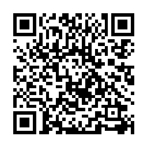 不过一只王者种就需要消耗一公斤左右大小的健康宝石二维码生成