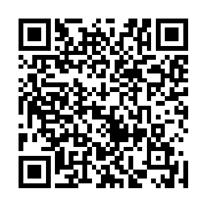 不过一想到双刀假面那个实力恐怖的家伙还在自己身后站着二维码生成