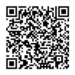 不过一想到大熊猫贝海这边就觉得似乎是多点儿这东西也不是个事情了二维码生成