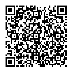 不过一想起马文在蜘蛛地穴中如此轻易地就杀掉了困扰自己很久的红蜘蛛伊丽莎白二维码生成