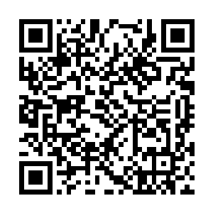 不过一时间想要突破到五命境界还是太困难了一点二维码生成