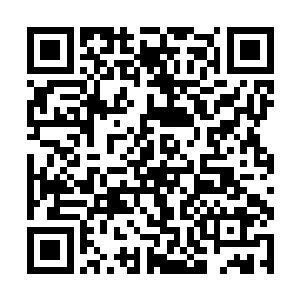 不过一直注视着笼子的流墨墨发现在即将推下的时候二维码生成