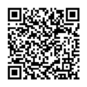 不过下一秒金在珉就知道这群少女的确没有坑他二维码生成