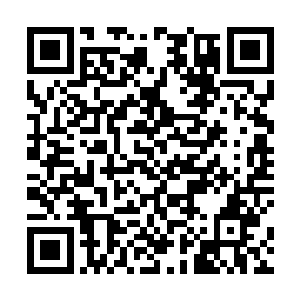 不过不得不说这段时间以来莫小念虽然一直呆在家里面二维码生成