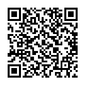 不过与刚刚大家看的那些混合后生产的煤球煤棒不同二维码生成