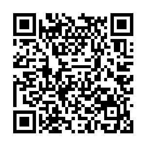 不过与她交好的罗小柔与杜心儿也都是仙云宗弟子二维码生成