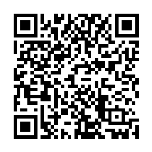 不过两个小家伙倒是一点都没有忘记陪着他们成长的小四眼二维码生成