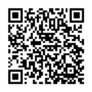 不过两人还是站起身准备去前厅跟着传话的公公一起进宫看看二维码生成