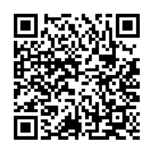 不过中国球迷们对于这些球员的大采购行为给予了理解二维码生成