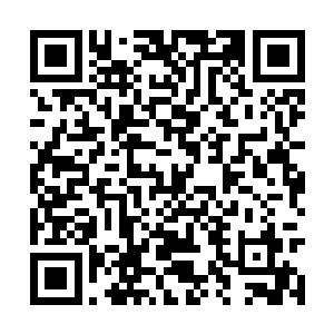 不过为了星空娱乐的发展每次回来呆的时间都不长二维码生成