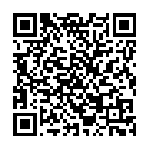 不过为什么这个无角人这么恰好地就显示出小殿下的心脏二维码生成