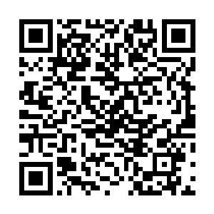 不过之前躲在暗中远远目睹了这场恶战也可谓是心惊肉跳二维码生成