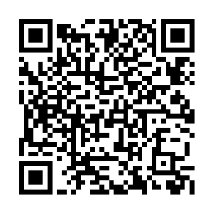 不过也可能是对方想要观察千彩的套路也说不定二维码生成