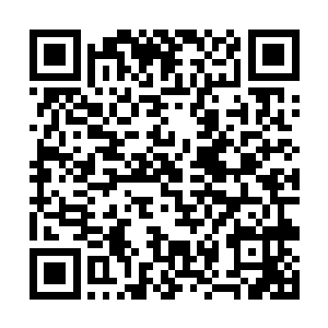 不过也并不是所有修士和高层们都只顾着眼前的利益二维码生成