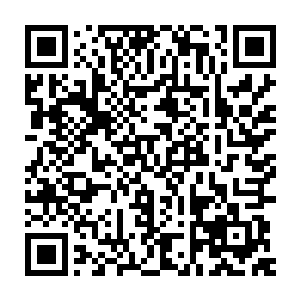 不过也有些很早就有了审美观的小朋友坚强地顶住了这一波光头热二维码生成