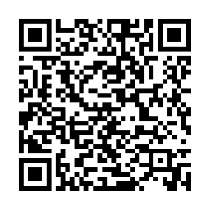 不过也没什么…真上了战场谁给你时间熟悉场地啊二维码生成