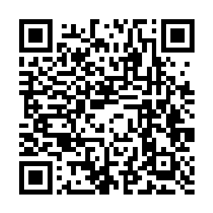 不过也知道自己的孩子在美国混的不是这么那么的出色二维码生成