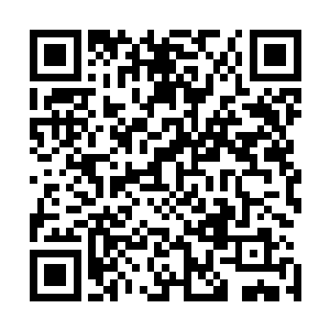 不过云家再怎么厉害也因该不足以影响到他们家族的存亡吧二维码生成