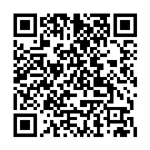 不过人群当中的那个张雪花却是拍拍自己的胸脯二维码生成