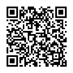 不过从他对金在珉的亲切程度明显是和其他人一样二维码生成