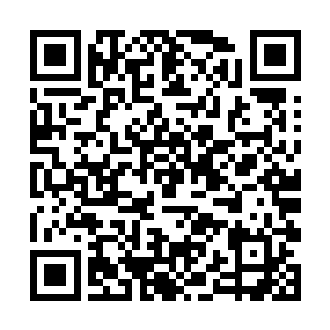不过从目前的情况来看连里应外合作战的必要都没了二维码生成
