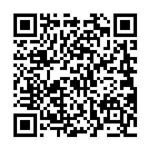 不过从这一次的渔获来讲箭号上没有一条超过九百磅的二维码生成