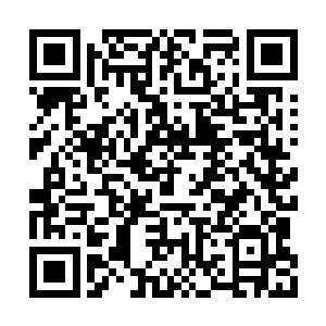 不过他也并非像墨枢所说的自己不能攻击霍君白二维码生成