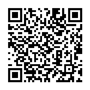 不过他也把所有的事情都交给了铁心堂中的一干夫人二维码生成