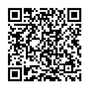不过他也知道焚老一向不会在这些事情上和他开玩笑二维码生成