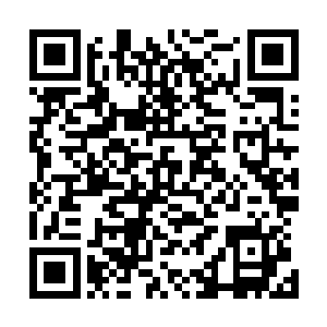 不过他也知道若真是一马平川叛军十几万人马全部兵临城下二维码生成